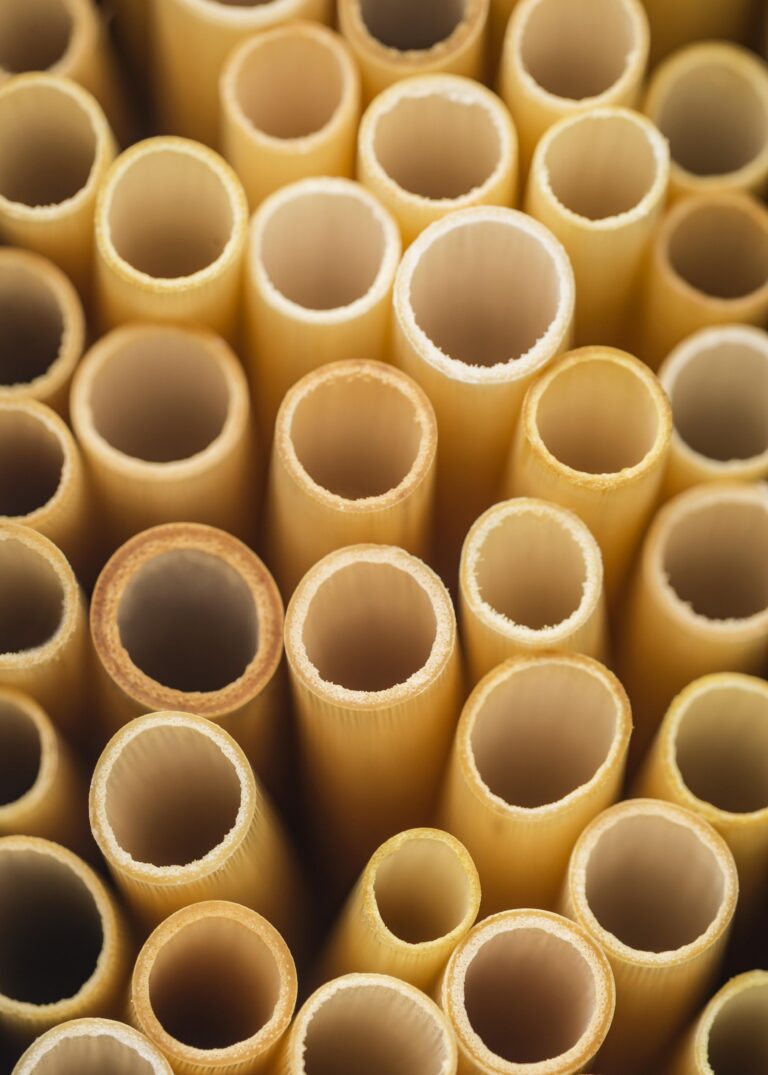 A Complete Guide to ISI PVC Pipe Brands India and Electrical Safety Standards 